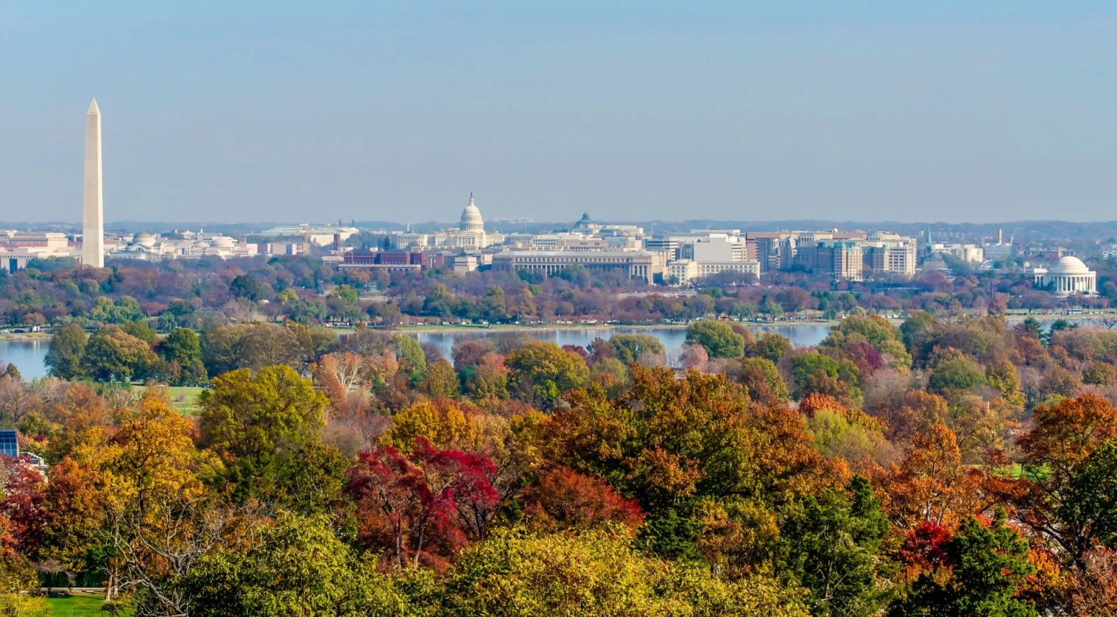 Washington DC skyline with the Washington Monument above autumn trees