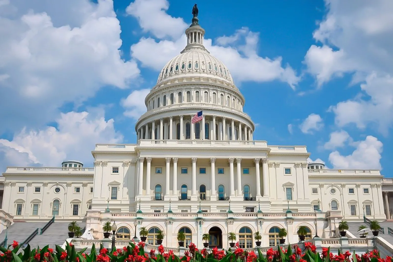From NYC: Guided Day Trip to Washington DC by Van or Bus