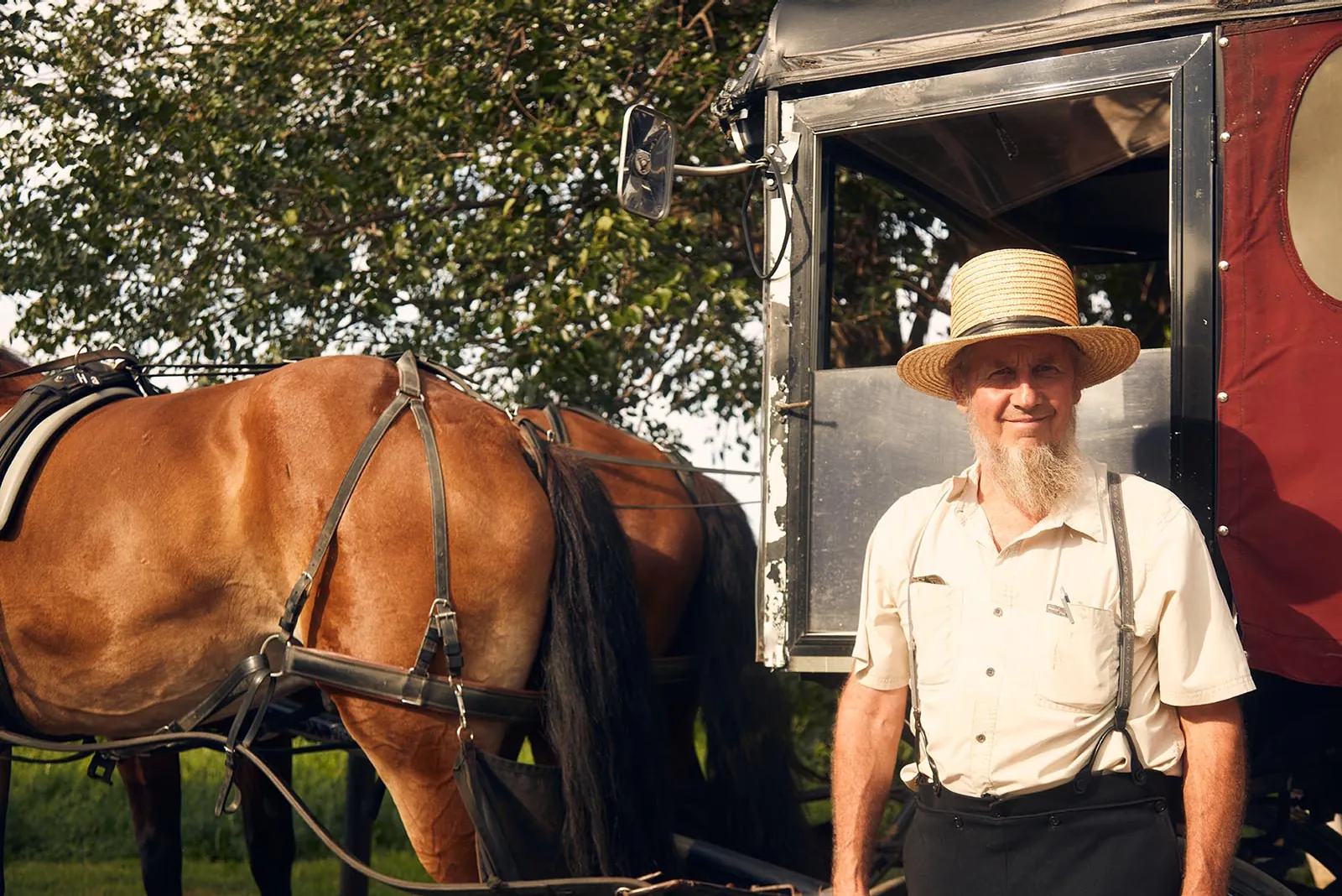An Amish buggy driver beside his horse and carriage