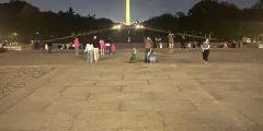 Guest photo from review